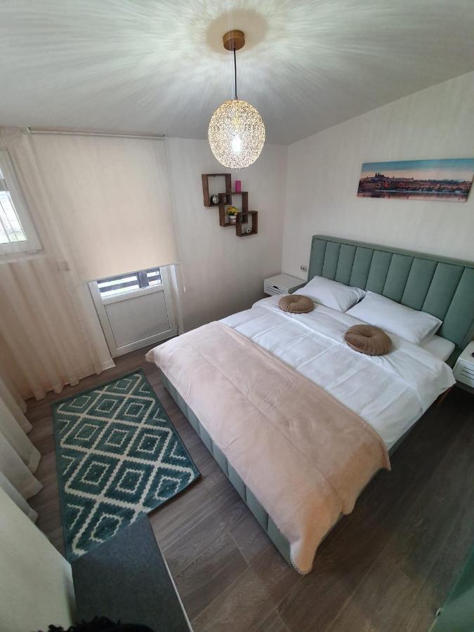 Villa Coca Câmpulung Moldovenesc Extérieur photo