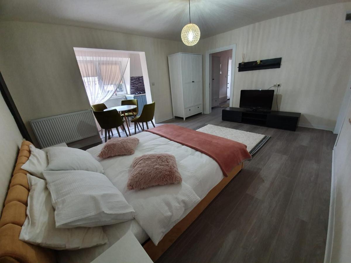 Villa Coca Câmpulung Moldovenesc Extérieur photo